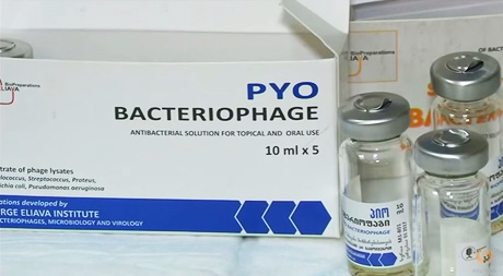 Phages offer virus alternative to antibiotics